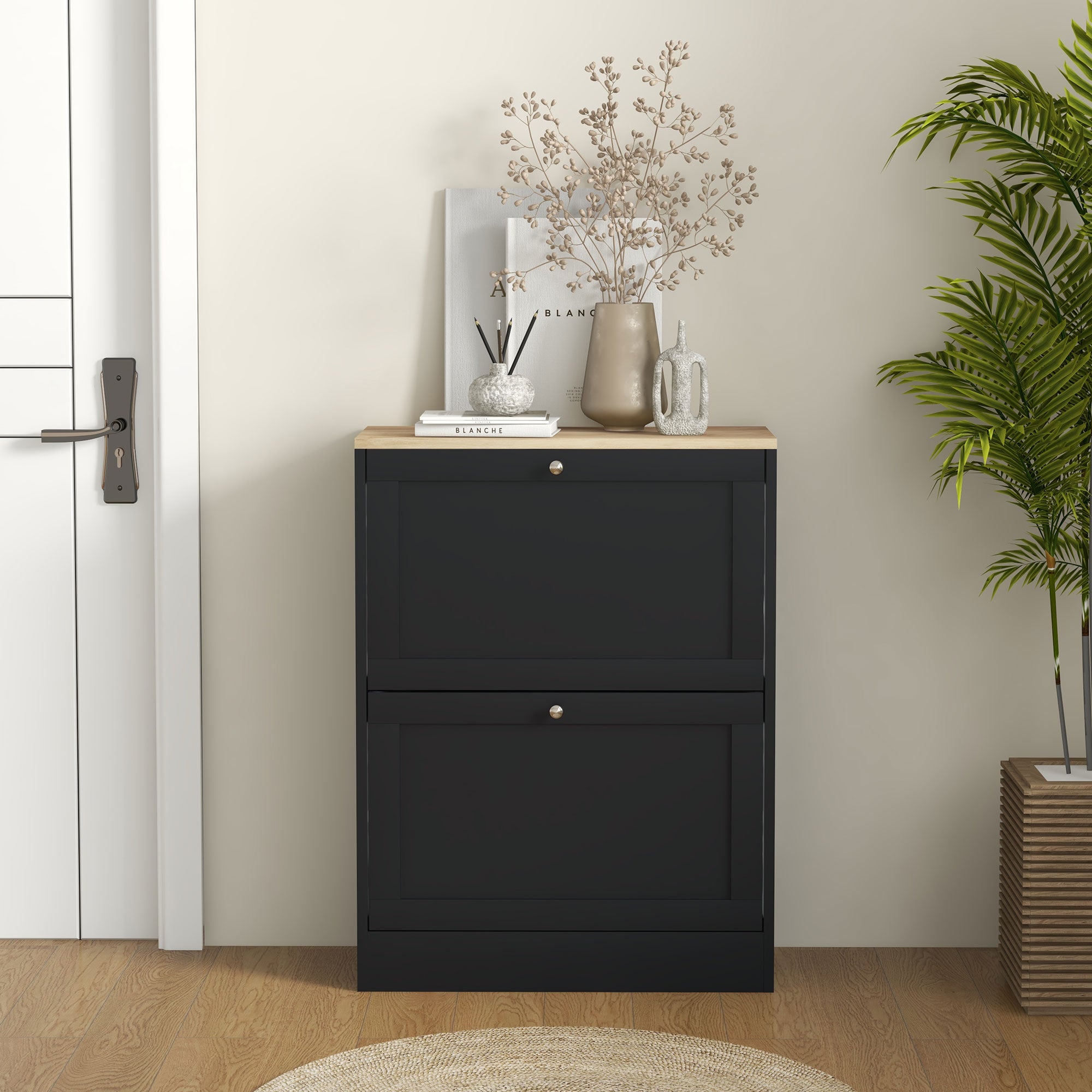 Slim Shoe Storage Cabinet, Modern Shoe Cabinet with 2 Flip Drawers and Adjustable Shelves for 8-12 Pairs, Black