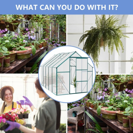 6X10FT Polycarbonate Greenhouse Raised Base And Anchor Aluminum Heavy Duty Walk-in Greenhouses For Outdoor Backyard In All Season