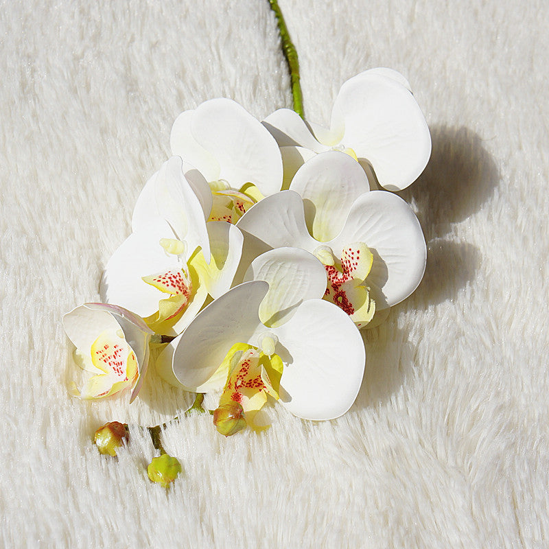 Artificial Phalaenopsis Artificialfake Soft Decoration Wall Decorative Plant Flower Floral