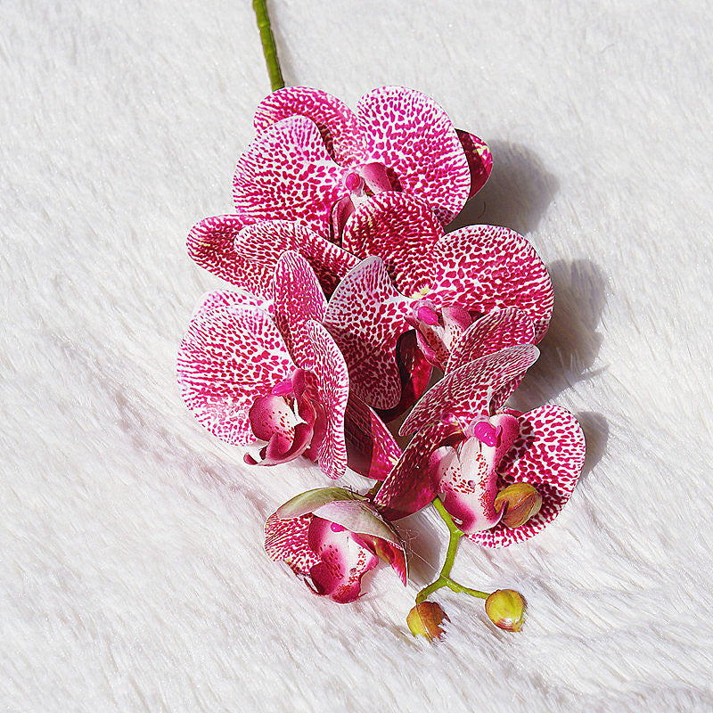 Artificial Phalaenopsis Artificialfake Soft Decoration Wall Decorative Plant Flower Floral