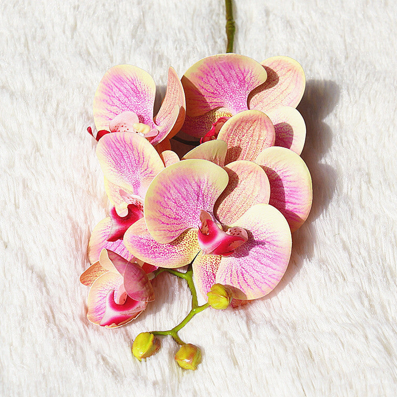 Artificial Phalaenopsis Artificialfake Soft Decoration Wall Decorative Plant Flower Floral